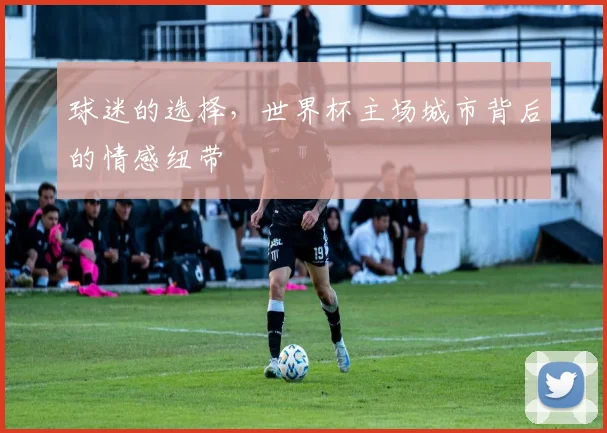 球迷的选择,世界杯主场城市背后的情感纽带